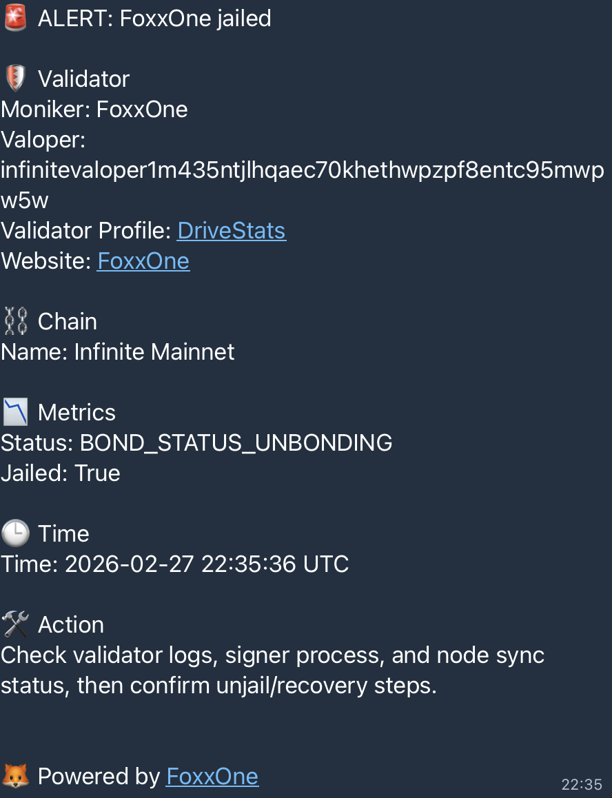 Jailed validator critical alert formatting example
